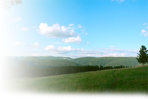 vallée de la Meurthe dans les Vosges