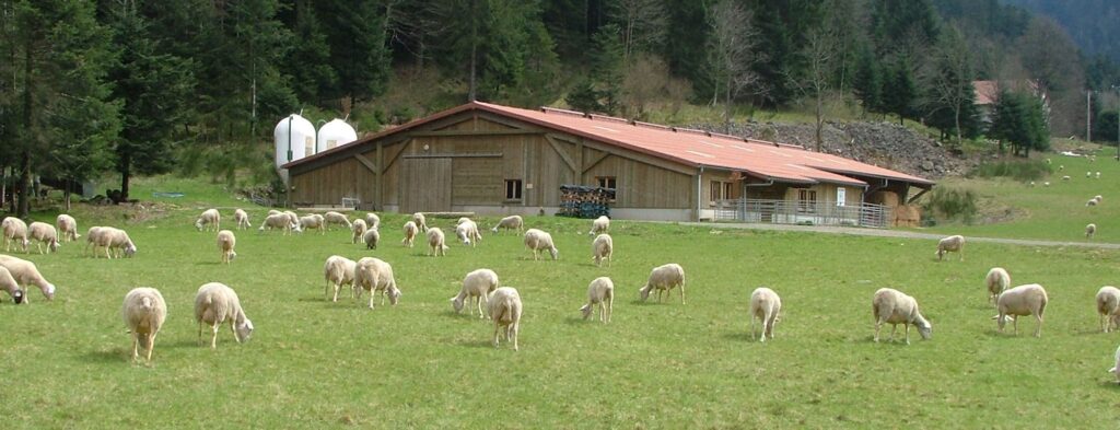 Bergerie de Straiture 